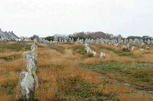 standing stones at Carnac