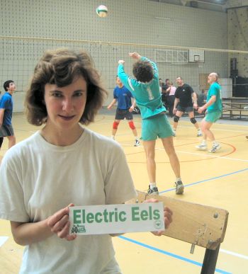 Electric Eels volleyball team at Malonne, Belgium