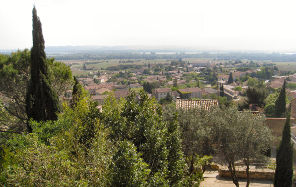 Chateauneuf du Pape village and vineyards