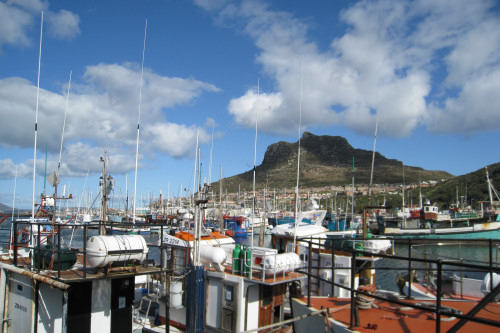 The harbour at Hout Bay