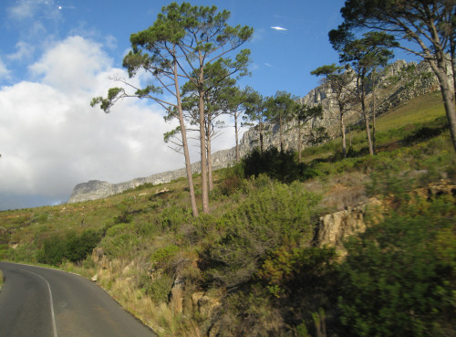 climbing up the hairpin bends on Table Mountain