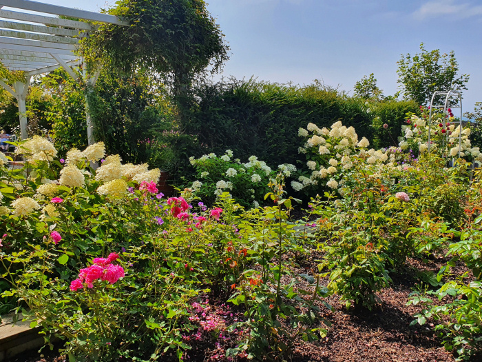 rose garden at the Christian Dior Museum, Granville, France