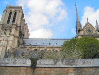 Cathédrale de Nôtre Dame, Paris