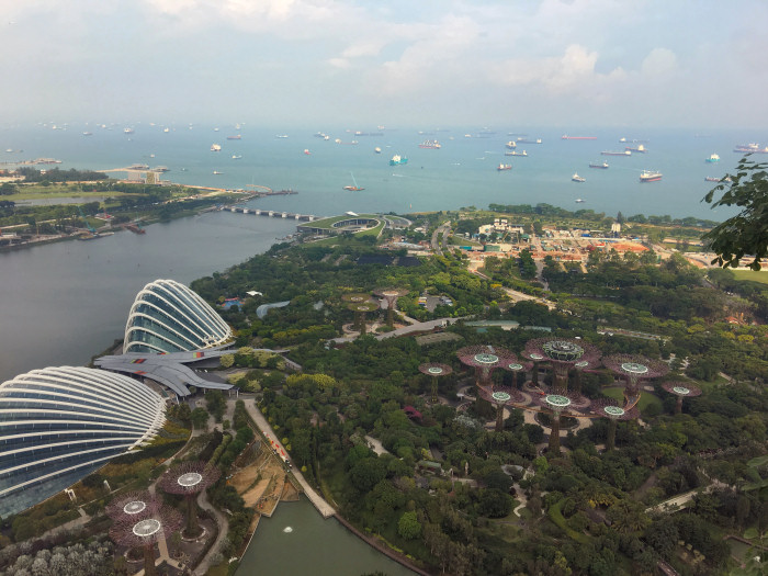 view of the Gardens by the Bay from Marina Bay Sands Hotel Singapore