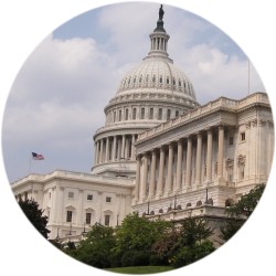 The Capitol in Washington D.C., America