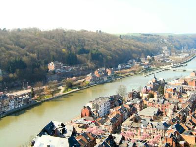 view of the River Meuse and Dinant