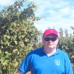 Coonawarra Wine Region, South Australia