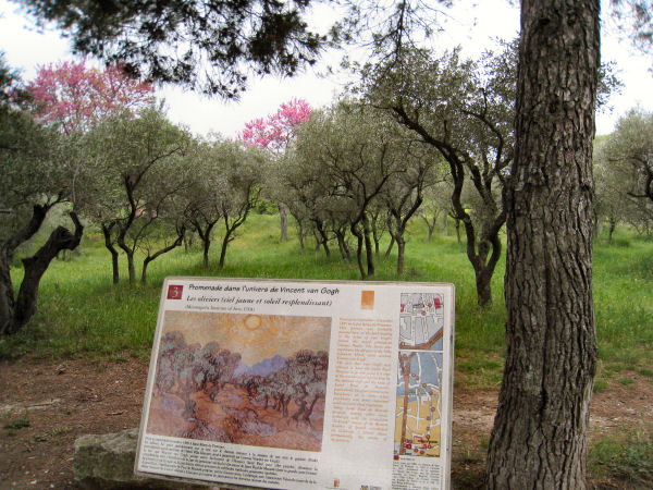 Van Gogh painting at St Remy de Provence