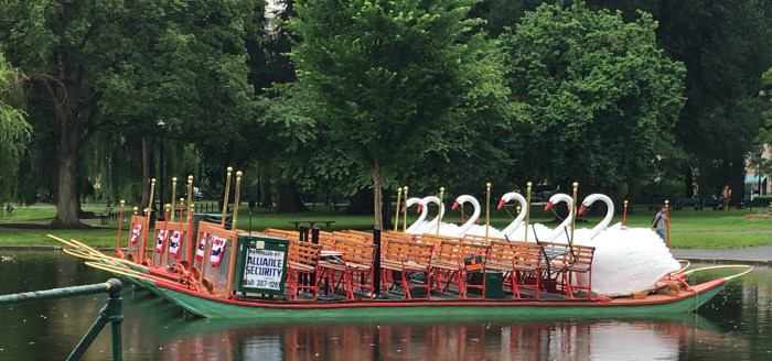 Swan boats Boston public gardens