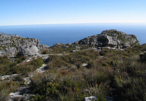 On top of Table Mountain, Cape Town, South Africa