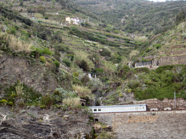 train at Vernazza, Italy