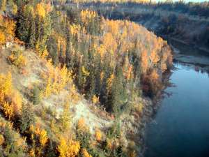 Autumn colours