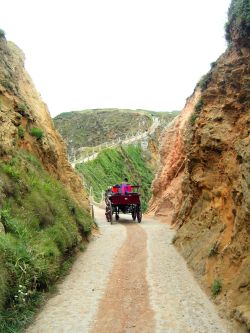 a very precarious journey for the horse and cart as it crosses the isthmus on Sark.