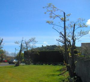 side garden, Albert's Tower Ramsey