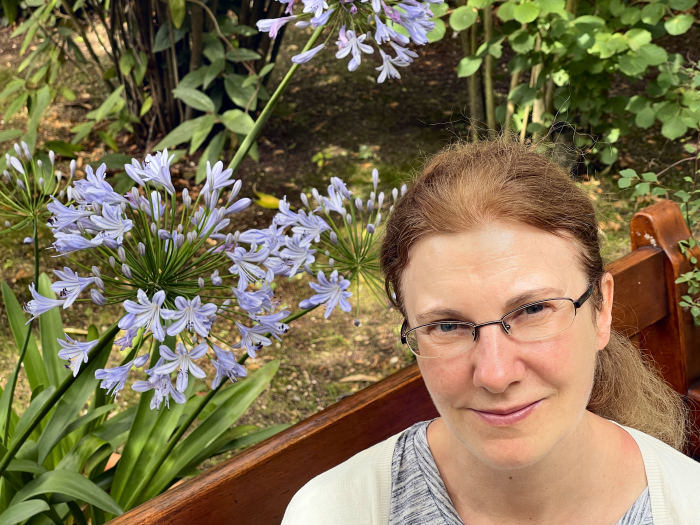 Agapanthus in Monet's garden, Giverny