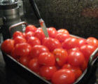roasted tomatoes