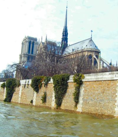 Notre Dame cathedral in Paris