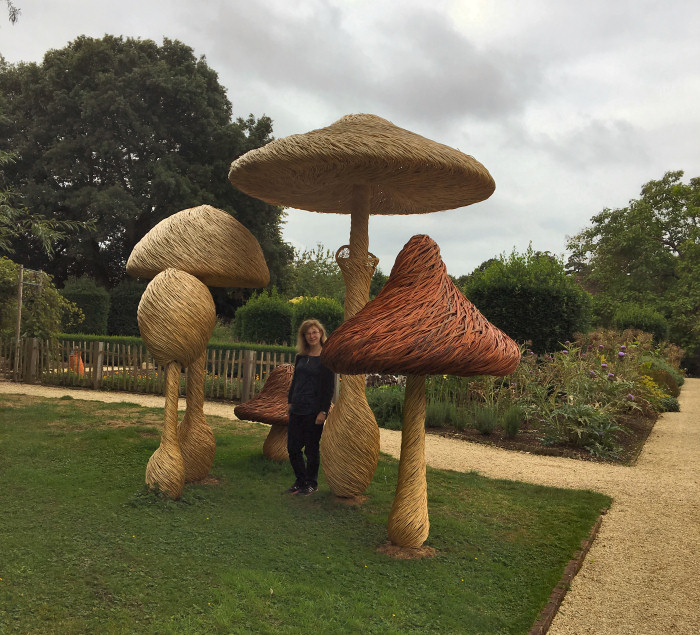 Mushrooms, Raymond Blanc, Le Manoir