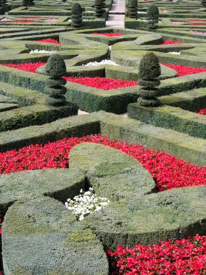 ornamental gardens at Villandry in the Loire Valley