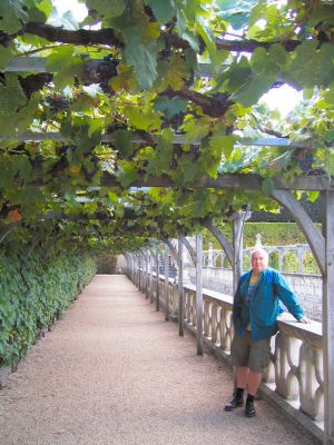 John under the vines at Villandry