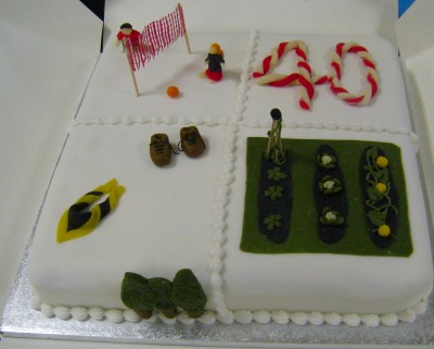 a volleyball birthday cake